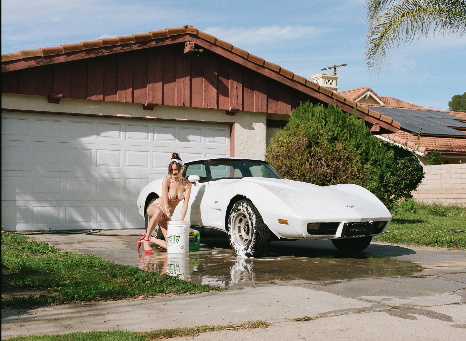 1979 CHEVY CORVETTE: THE AMERICAN SPORTS CAR