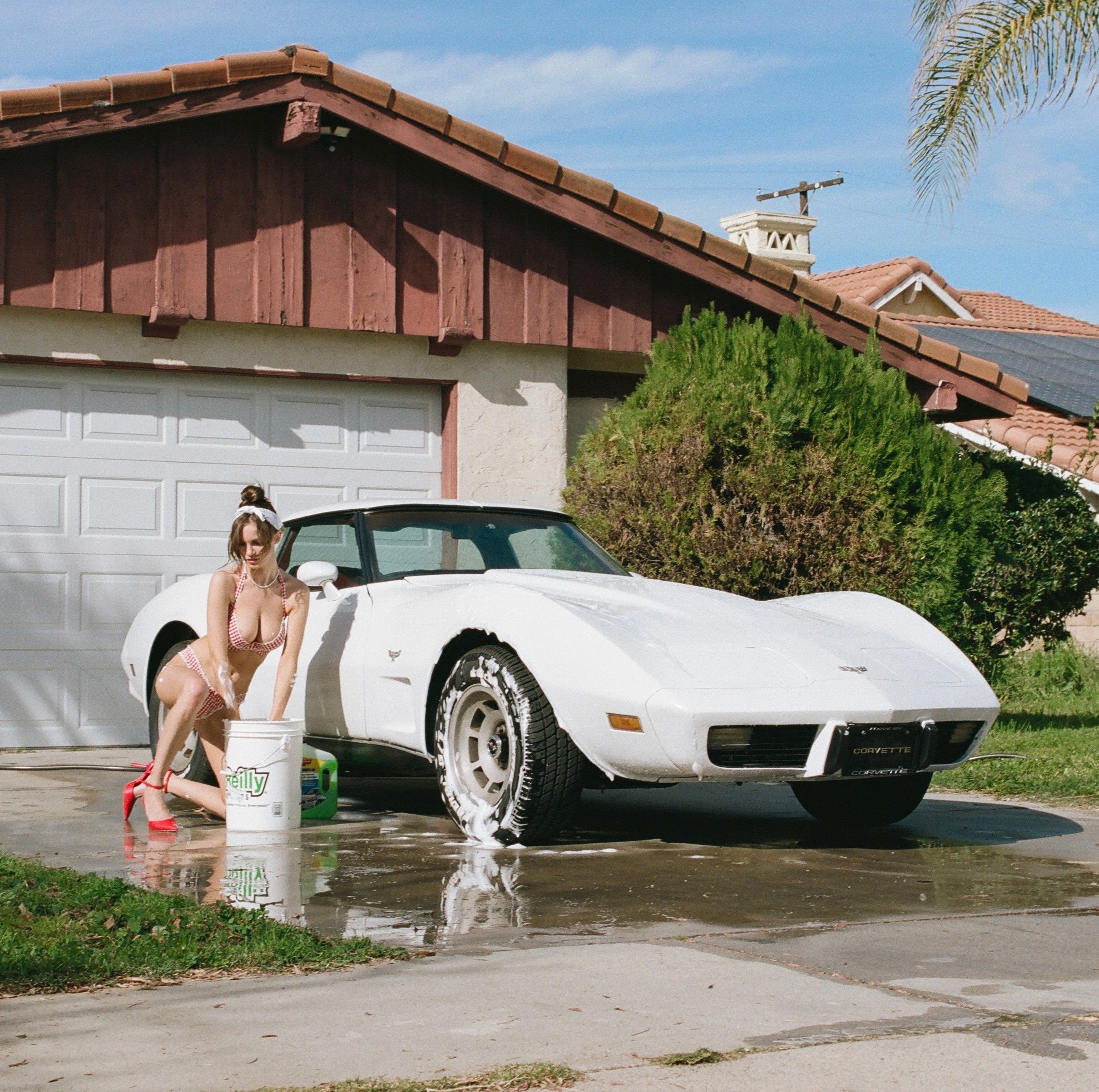 1979 CHEVROLET CORVETTE